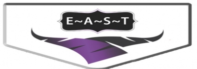 E~A~S~T Sicherheitsdienst